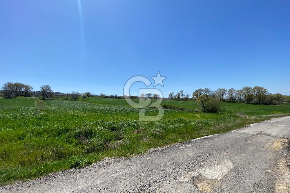 KIZILKEÇİLİDE ASFALT YOLA CEPHE DENİZ MANZARALI SATILIK TARLA