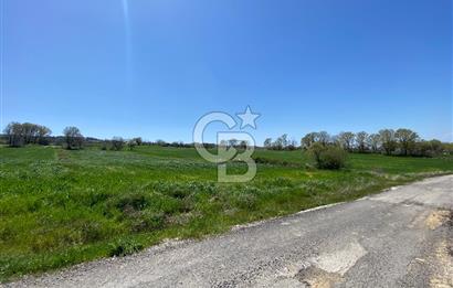 KIZILKEÇİLİDE ASFALT YOLA CEPHE DENİZ MANZARALI SATILIK TARLA