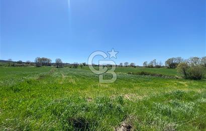 KIZILKEÇİLİDE ASFALT YOLA CEPHE DENİZ MANZARALI SATILIK TARLA