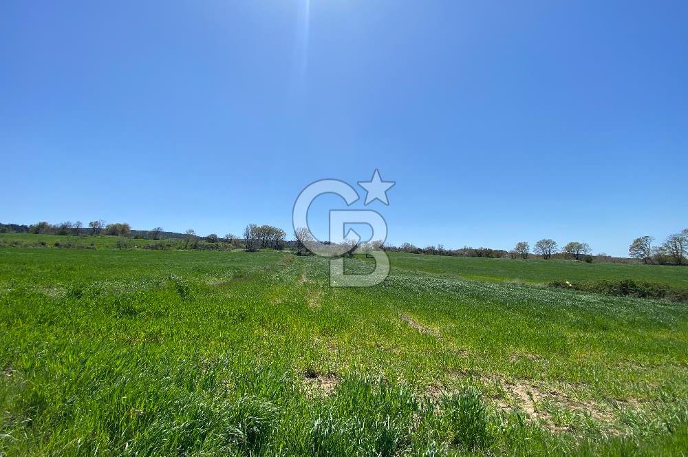 KIZILKEÇİLİDE ASFALT YOLA CEPHE DENİZ MANZARALI SATILIK TARLA