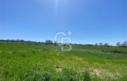 KIZILKEÇİLİDE ASFALT YOLA CEPHE DENİZ MANZARALI SATILIK TARLA