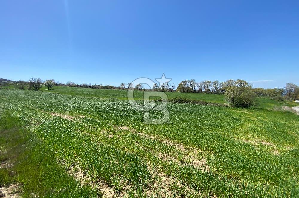 KIZILKEÇİLİDE ASFALT YOLA CEPHE DENİZ MANZARALI SATILIK TARLA