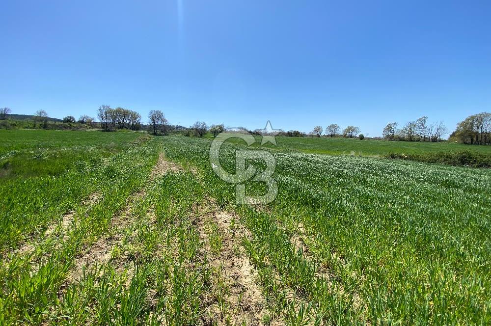 KIZILKEÇİLİDE ASFALT YOLA CEPHE DENİZ MANZARALI SATILIK TARLA