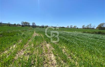 KIZILKEÇİLİDE ASFALT YOLA CEPHE DENİZ MANZARALI SATILIK TARLA