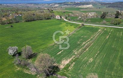 KIZILKEÇİLİDE ASFALT YOLA CEPHE DENİZ MANZARALI SATILIK TARLA