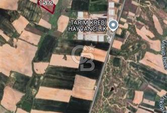 KIRKLARELİ BAYRAMDERE KÖYÜNDE YOLA CEPHE 11.450 M2 SATILIK TARLA - 1 - 345262