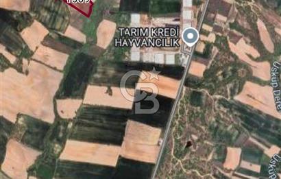 KIRKLARELİ BAYRAMDERE KÖYÜNDE YOLA CEPHE 11.450 M2 SATILIK TARLA