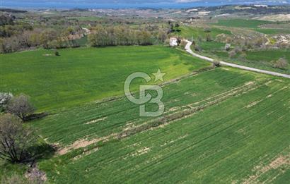 KIZILKEÇİLİDE ASFALT YOLA CEPHE DENİZ MANZARALI SATILIK TARLA