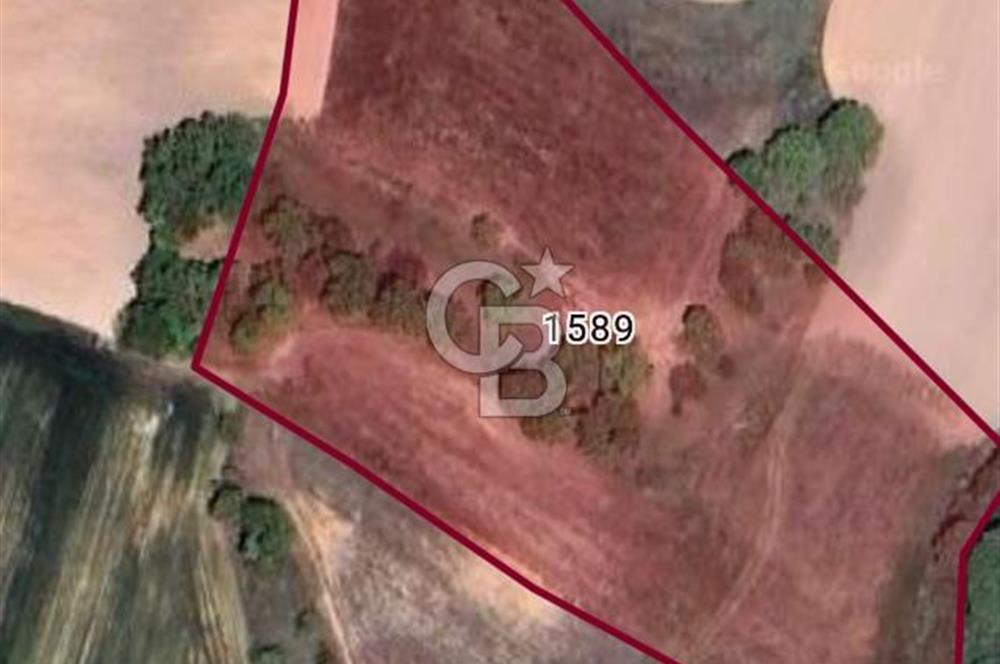 KIRKLARELİ BAYRAMDERE KÖYÜNDE YOLA CEPHE 11.450 M2 SATILIK TARLA