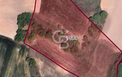KIRKLARELİ BAYRAMDERE KÖYÜNDE YOLA CEPHE 11.450 M2 SATILIK TARLA