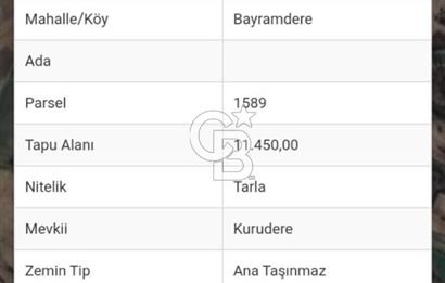 KIRKLARELİ BAYRAMDERE KÖYÜNDE YOLA CEPHE 11.450 M2 SATILIK TARLA
