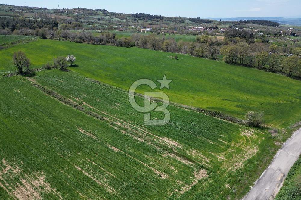 KIZILKEÇİLİDE ASFALT YOLA CEPHE DENİZ MANZARALI SATILIK TARLA