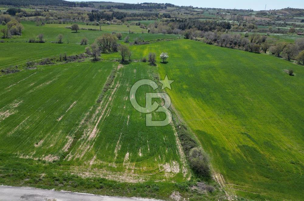 KIZILKEÇİLİDE ASFALT YOLA CEPHE DENİZ MANZARALI SATILIK TARLA