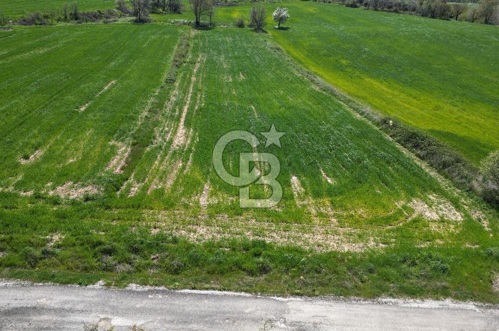 KIZILKEÇİLİDE ASFALT YOLA CEPHE DENİZ MANZARALI SATILIK TARLA