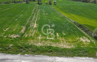 KIZILKEÇİLİDE ASFALT YOLA CEPHE DENİZ MANZARALI SATILIK TARLA