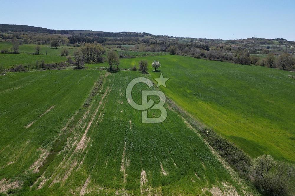 KIZILKEÇİLİDE ASFALT YOLA CEPHE DENİZ MANZARALI SATILIK TARLA