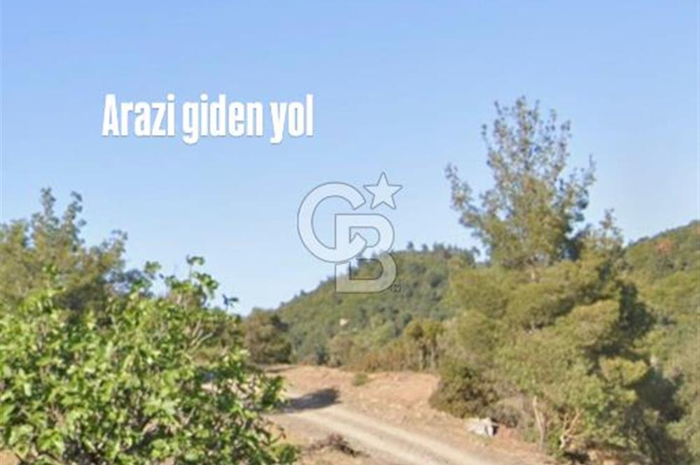 Seferihisar Beylerde Yolu Açık 17.000 m2 Fırsat Yatırımlık