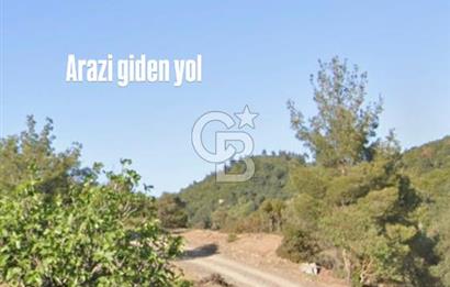 Seferihisar Beylerde Yolu Açık 17.000 m2 Fırsat Yatırımlık