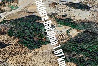 Seferihisar Beylerde Yolu Açık 17.000 m2 Fırsat Yatırımlık - 4 - 345252