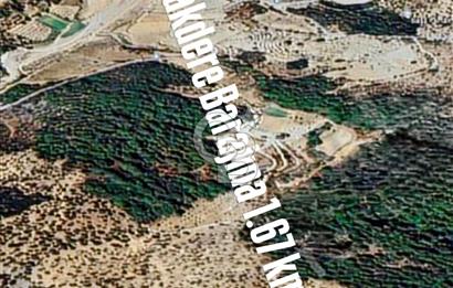 Seferihisar Beylerde Yolu Açık 17.000 m2 Fırsat Yatırımlık