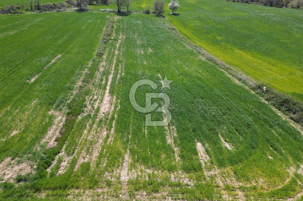 KIZILKEÇİLİDE ASFALT YOLA CEPHE DENİZ MANZARALI SATILIK TARLA