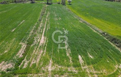 KIZILKEÇİLİDE ASFALT YOLA CEPHE DENİZ MANZARALI SATILIK TARLA