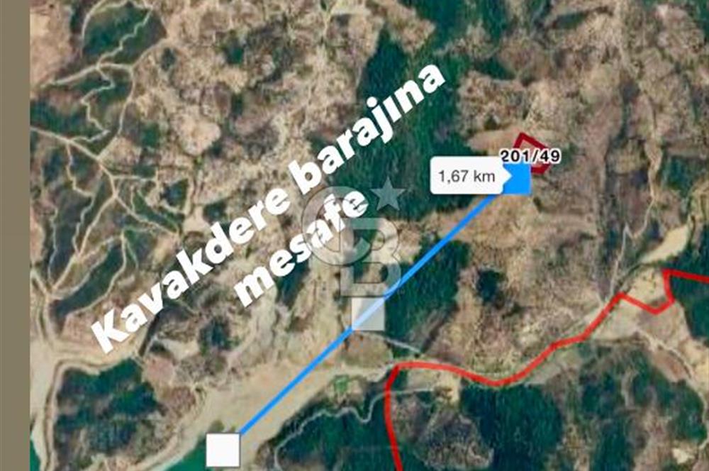 Seferihisar Beylerde Yolu Açık 17.000 m2 Fırsat Yatırımlık