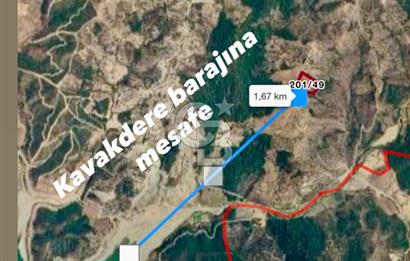 Seferihisar Beylerde Yolu Açık 17.000 m2 Fırsat Yatırımlık