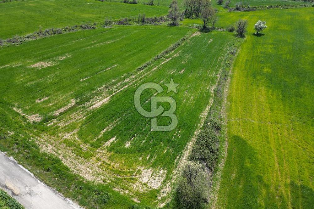 KIZILKEÇİLİDE ASFALT YOLA CEPHE DENİZ MANZARALI SATILIK TARLA