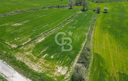 KIZILKEÇİLİDE ASFALT YOLA CEPHE DENİZ MANZARALI SATILIK TARLA