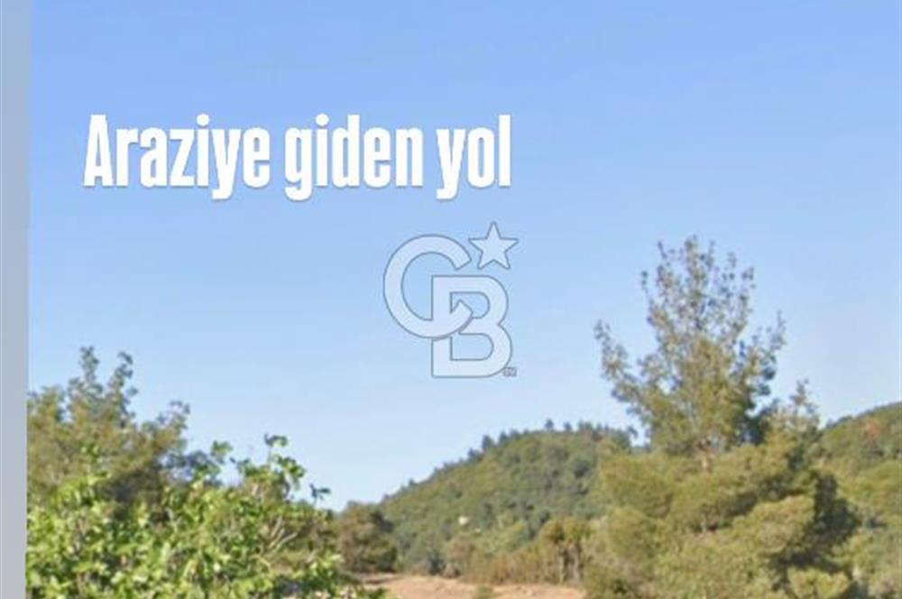 Seferihisar Beylerde Yolu Açık 17.000 m2 Fırsat Yatırımlık