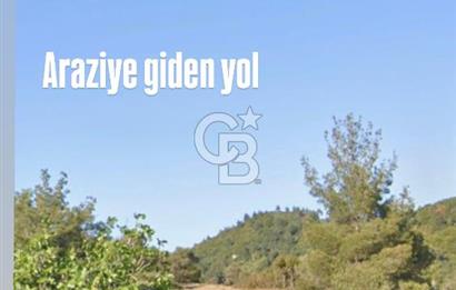 Seferihisar Beylerde Yolu Açık 17.000 m2 Fırsat Yatırımlık