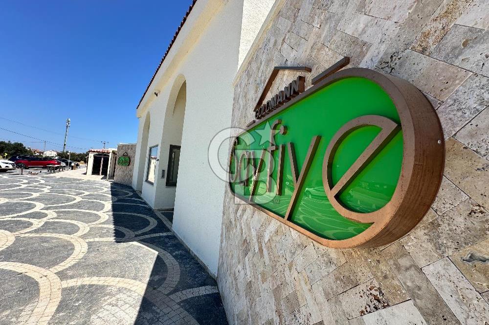 Ayvalık Altınova Sayfiye Sitesi İçerisinde Havuzlu Geniş 2+1 Daire