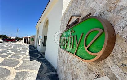 Ayvalık Altınova Sayfiye Sitesi İçerisinde Havuzlu Geniş 2+1 Daire