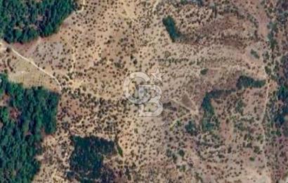 Seferihisar Beylerde Yolu Açık 17.000 m2 Fırsat Yatırımlık