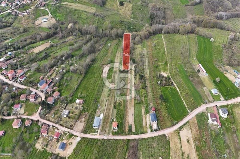 KANDIRA DALCA'DA SATILIK 950 M2 YATIRIMLIK FIRSAT ARAZİ