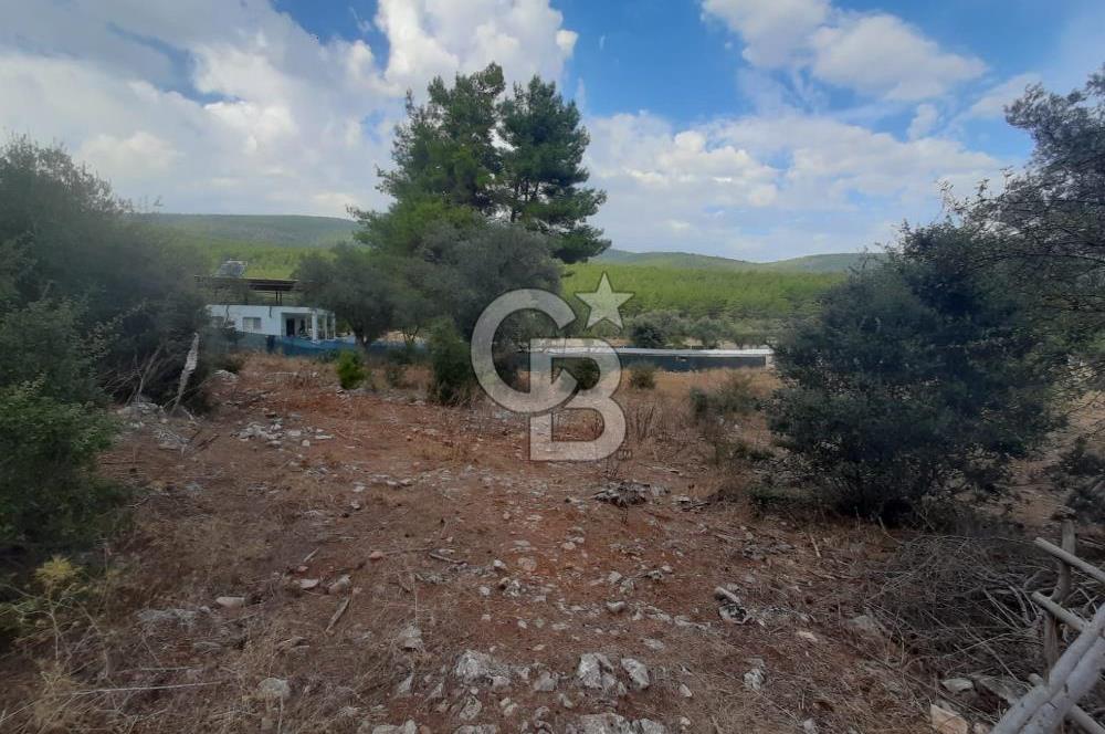 MUĞLA MİLAS'TA 3290 M2 TEK TAPU YATIRIM FIRSATI