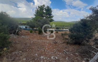 MUĞLA MİLAS'TA 3290 M2 TEK TAPU YATIRIM FIRSATI