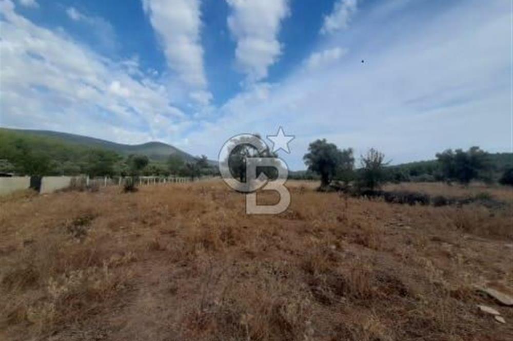 MUĞLA MİLAS'TA 3290 M2 TEK TAPU YATIRIM FIRSATI