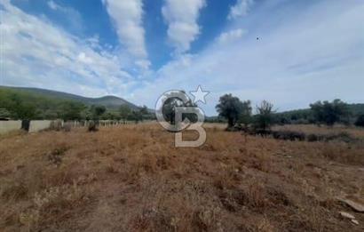 MUĞLA MİLAS'TA 3290 M2 TEK TAPU YATIRIM FIRSATI