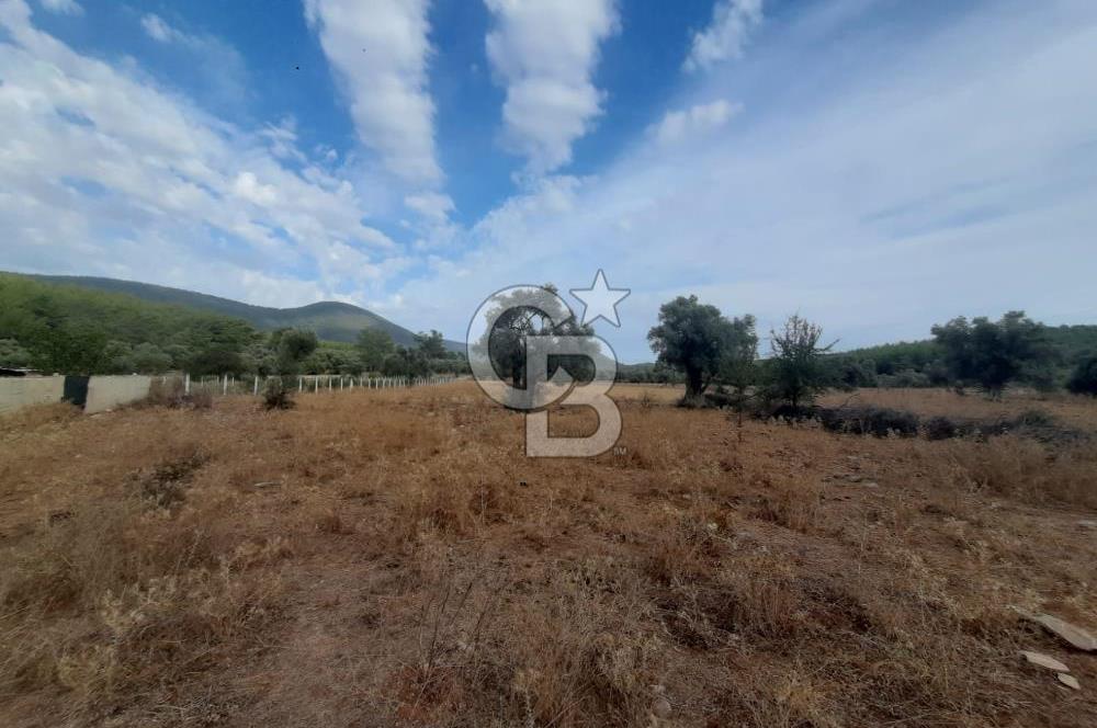 MUĞLA MİLAS'TA 3290 M2 TEK TAPU YATIRIM FIRSATI
