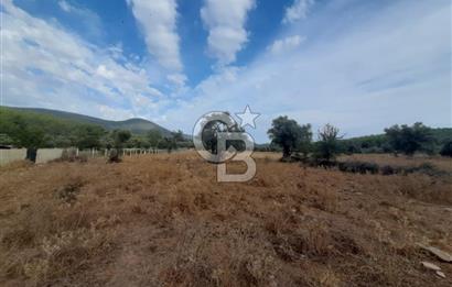 MUĞLA MİLAS'TA 3290 M2 TEK TAPU YATIRIM FIRSATI