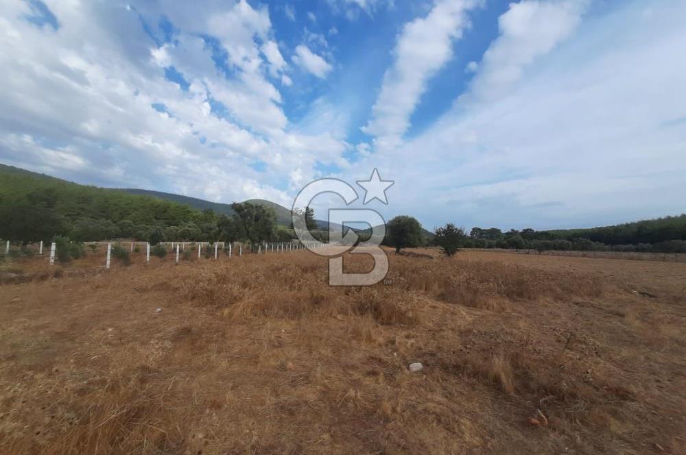 MUĞLA MİLAS'TA 3290 M2 TEK TAPU YATIRIM FIRSATI