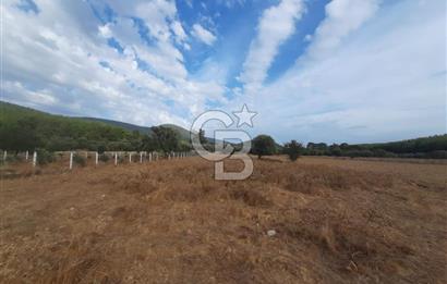 MUĞLA MİLAS'TA 3290 M2 TEK TAPU YATIRIM FIRSATI