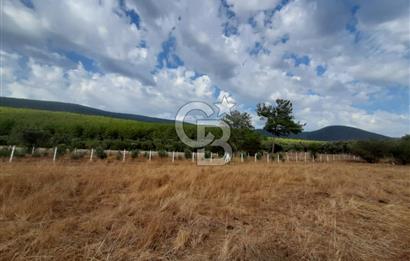 MUĞLA MİLAS'TA 3290 M2 TEK TAPU YATIRIM FIRSATI