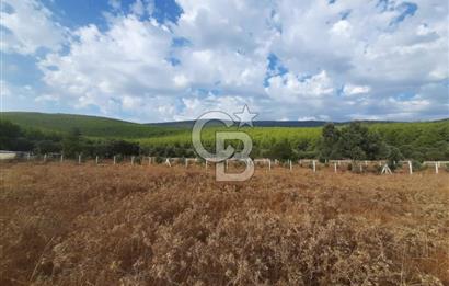 MUĞLA MİLAS'TA 3290 M2 TEK TAPU YATIRIM FIRSATI