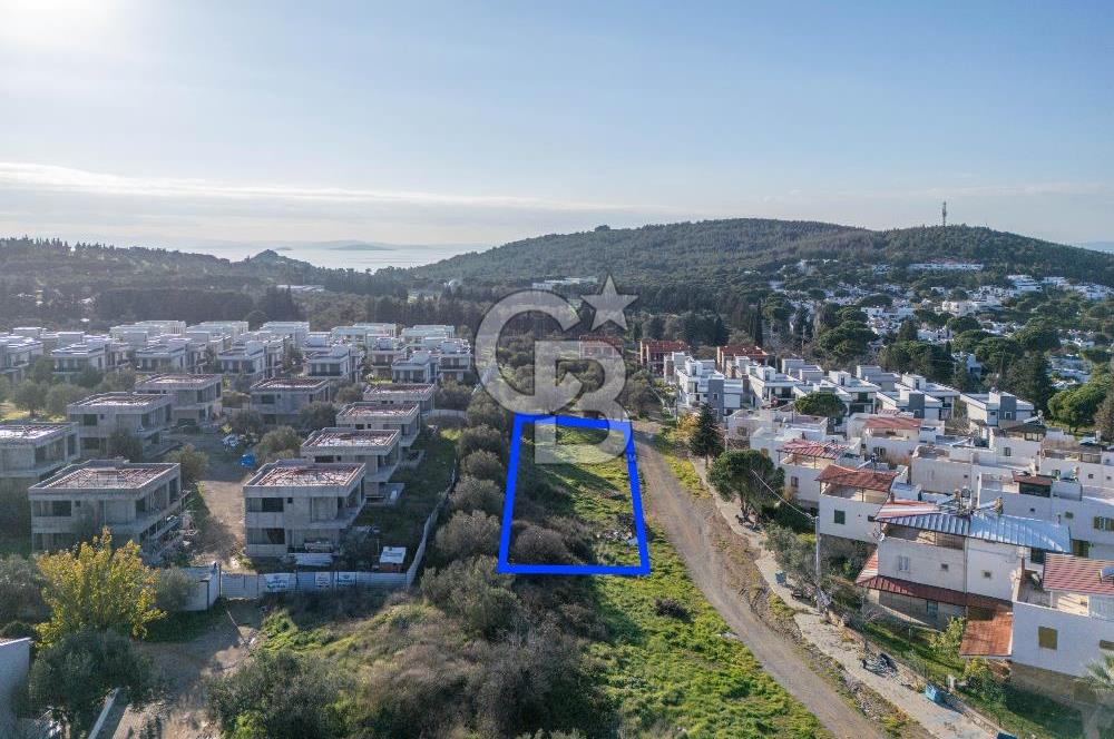 BALIKESİR GÖMEÇ'TE FIRSAT SATILIK ARSA