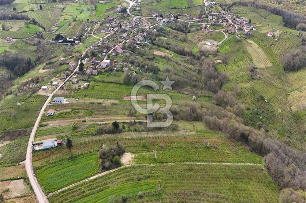 KANDIRA DALCA'DA SATILIK 950 M2 YATIRIMLIK FIRSAT ARAZİ