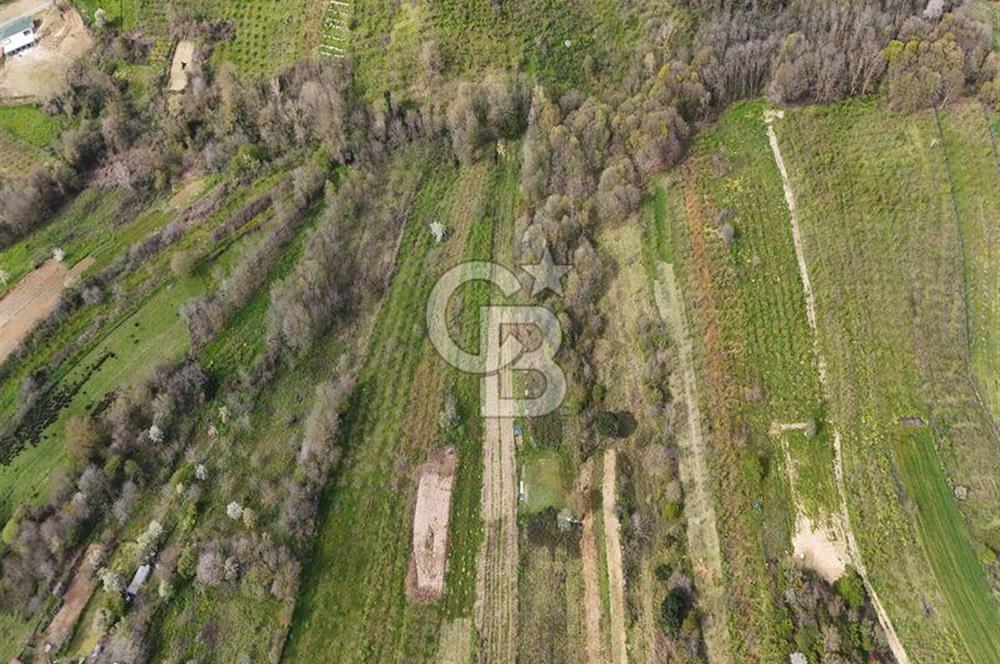 KANDIRA DALCA'DA SATILIK 950 M2 YATIRIMLIK FIRSAT ARAZİ