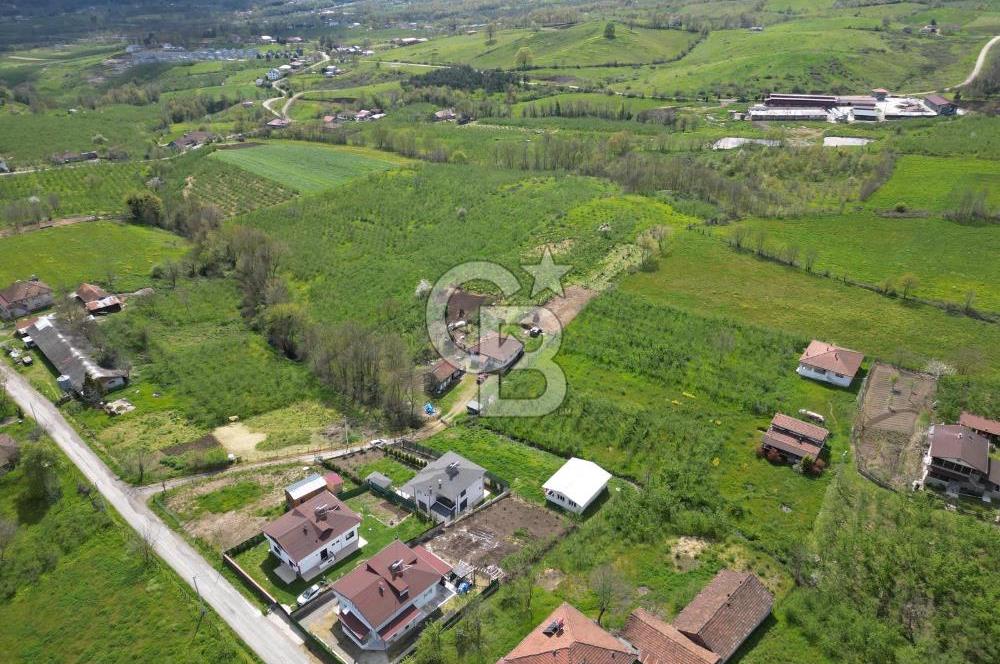 HENDEK YEŞİLVADİ'DE 7824 M2 İMARLI ARSA VE KÖY EVİ